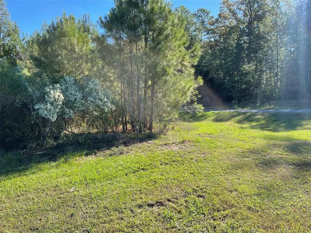 $11,900 | Lot 5 Jack Todd Drive, Mooringsport, LA 71060