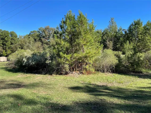 $11,900 | Lot 5 Jack Todd Drive, Mooringsport, LA 71060