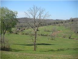 171 Warren Road Lynchburg, TN 37352 - Photo 3 of 5