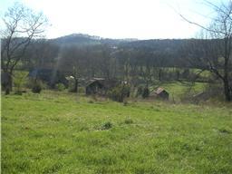 171 Warren Road Lynchburg, TN 37352 - Photo 5 of 5