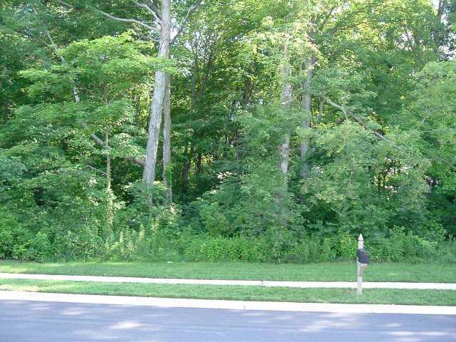 11054 Schoolhouse Road Fishers, IN 46037 - Photo 12 of 12 Gallery Image 12