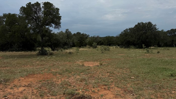 159 Mormon Creek Road Doss, TX 78618 - Photo 24 of 29