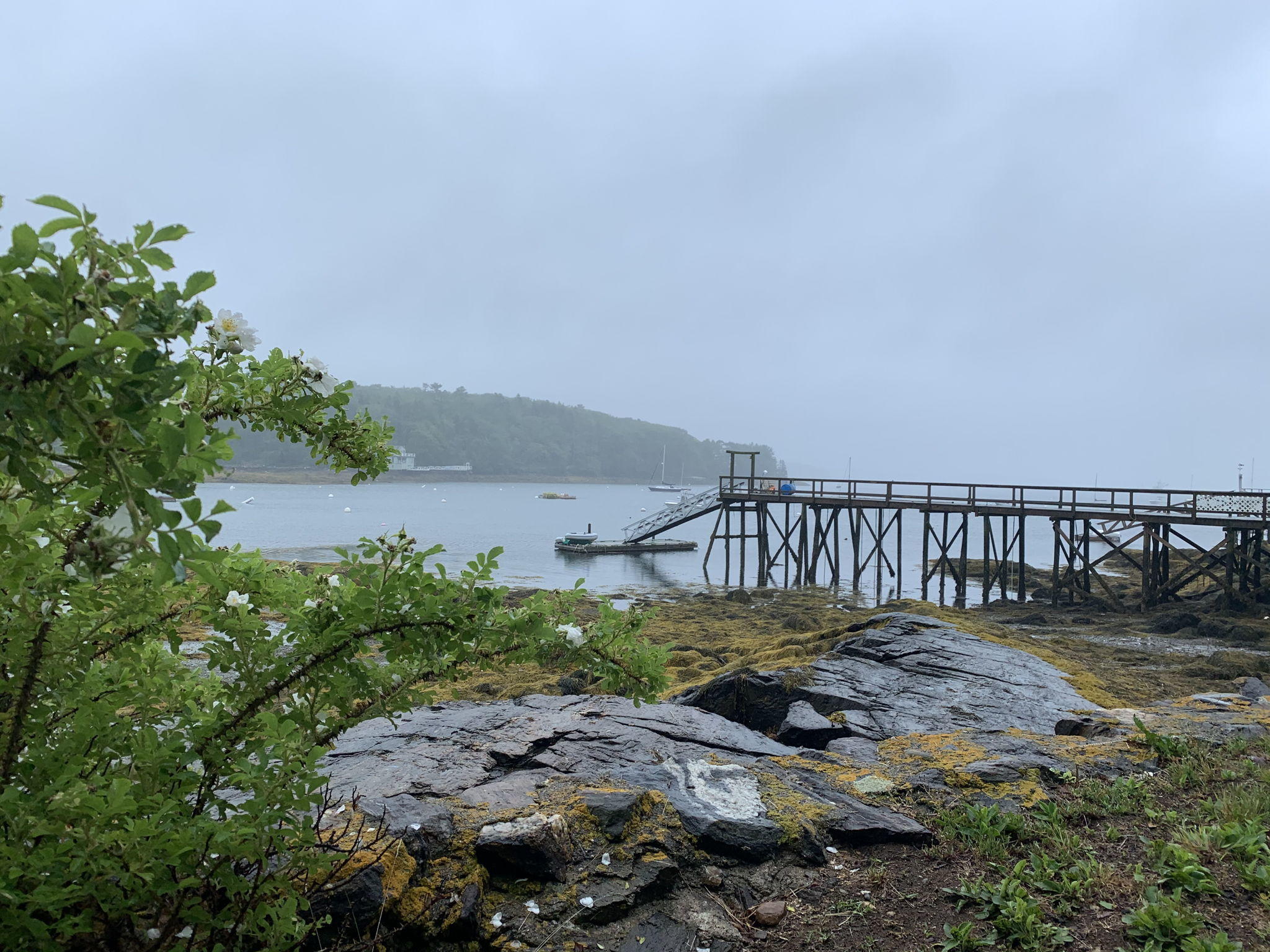 96 Murray Hill Road East Boothbay, ME 04544 - Photo 33 of 49 Waterfront