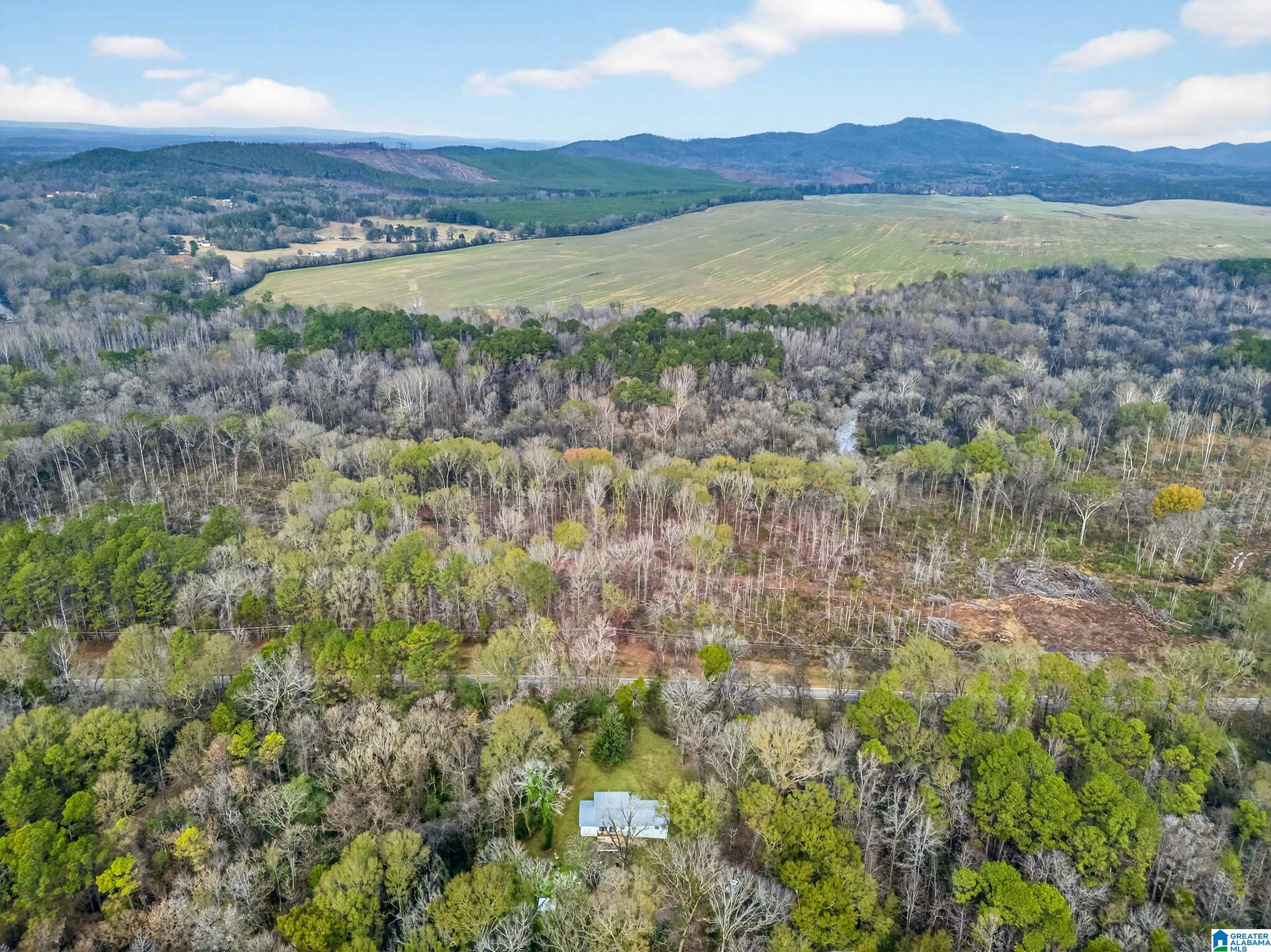 1687 Grist Mill Road Talladega, AL 35160 - Photo 6 of 21