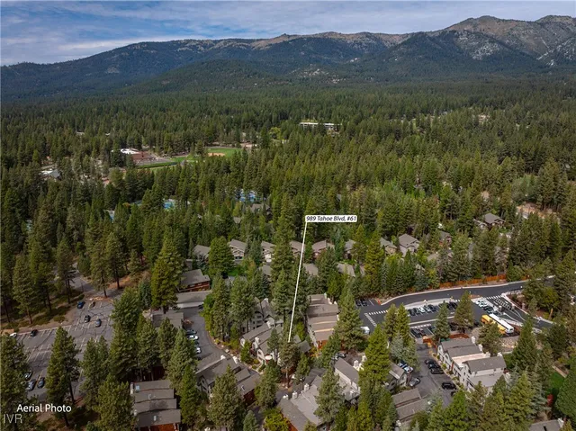 a view of a city with lush green forest