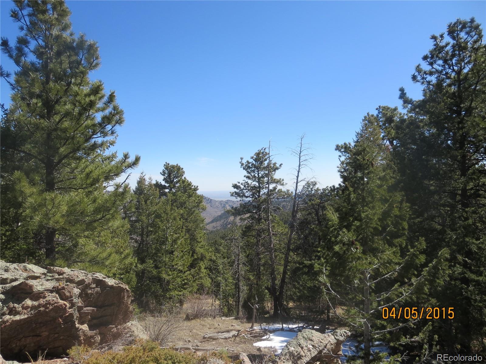 8077 Drew Hill Road Golden, CO 80403 - Photo 2 of 6 a view of a forest with trees in the background