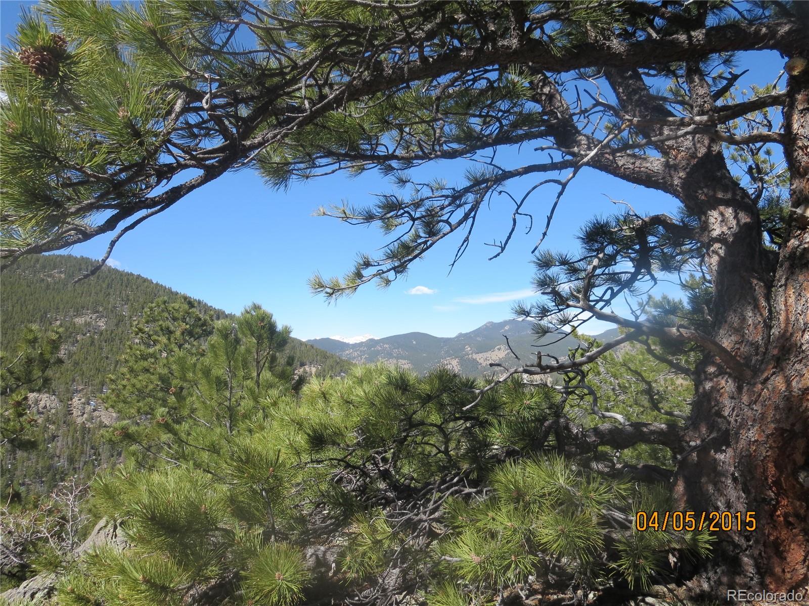 8077 Drew Hill Road Golden, CO 80403 - Photo 4 of 6 a view of mountain with tree in the background