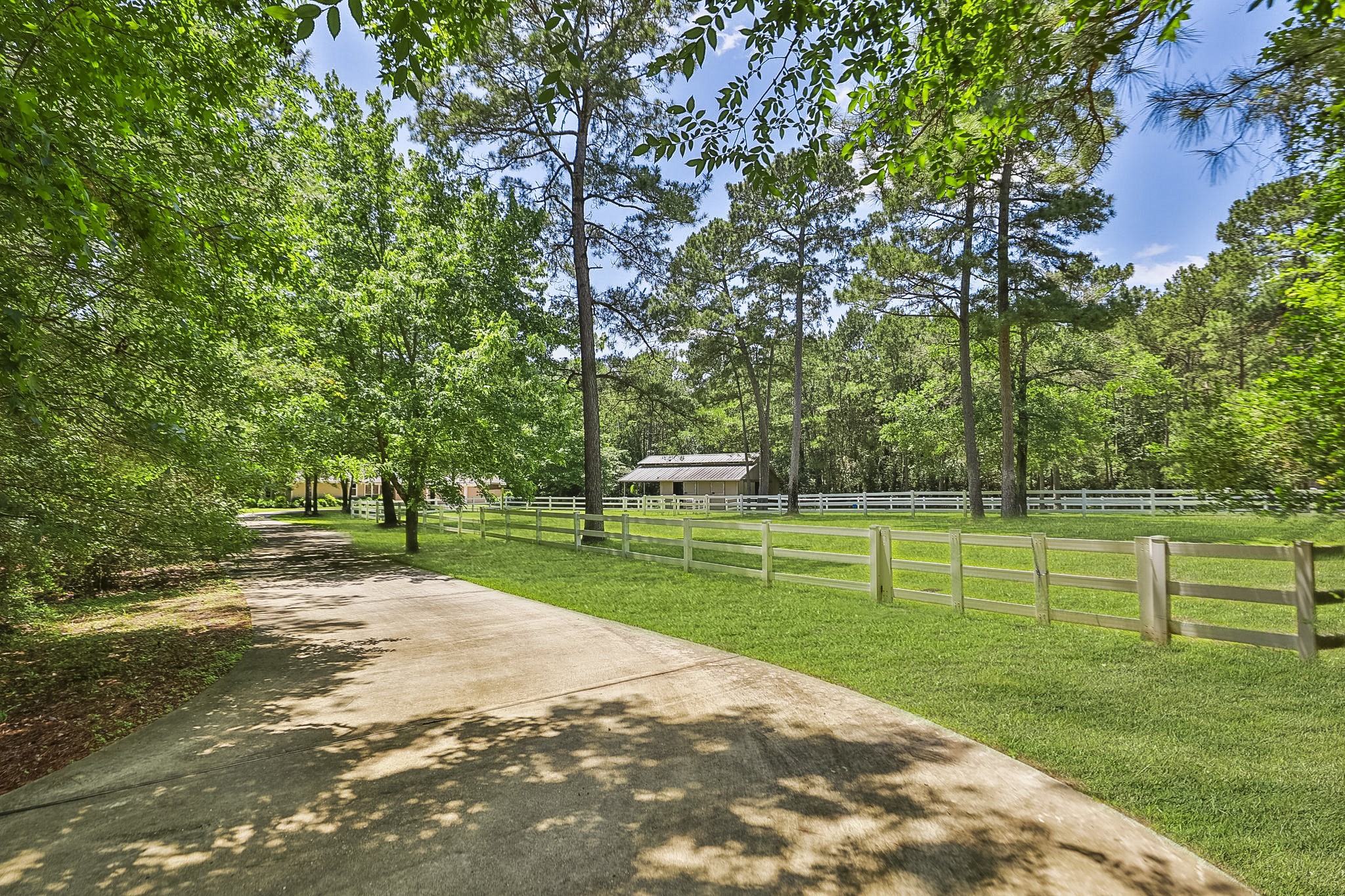 7514 Saddle Blanket Drive Waller, TX 77484 - Photo 4 of 50 Spacious fenced pasture for your horses. Enjoy having direct access to the riding trails. This property offers a serene and private setting ideal for country living.