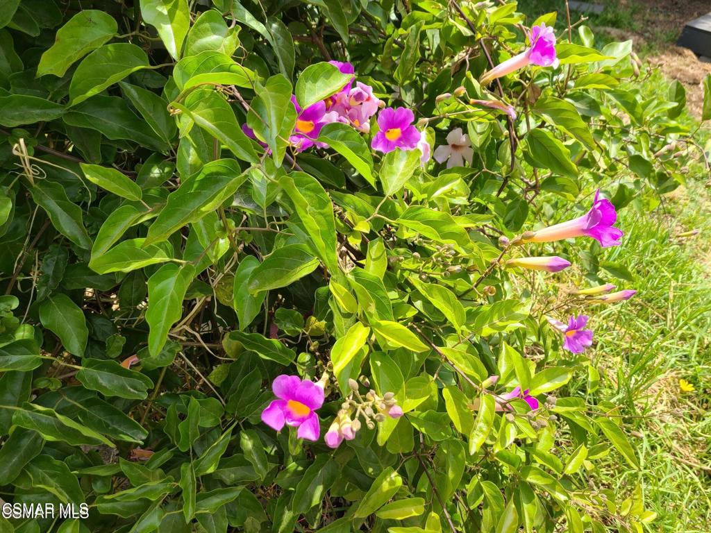 1404 Suffolk Avenue Thousand Oaks, CA 91360 - Photo 12 of 15