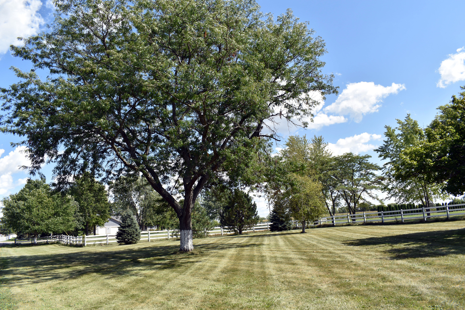 9N716 Chapman Road Hampshire, IL 60140 - Photo 27 of 34