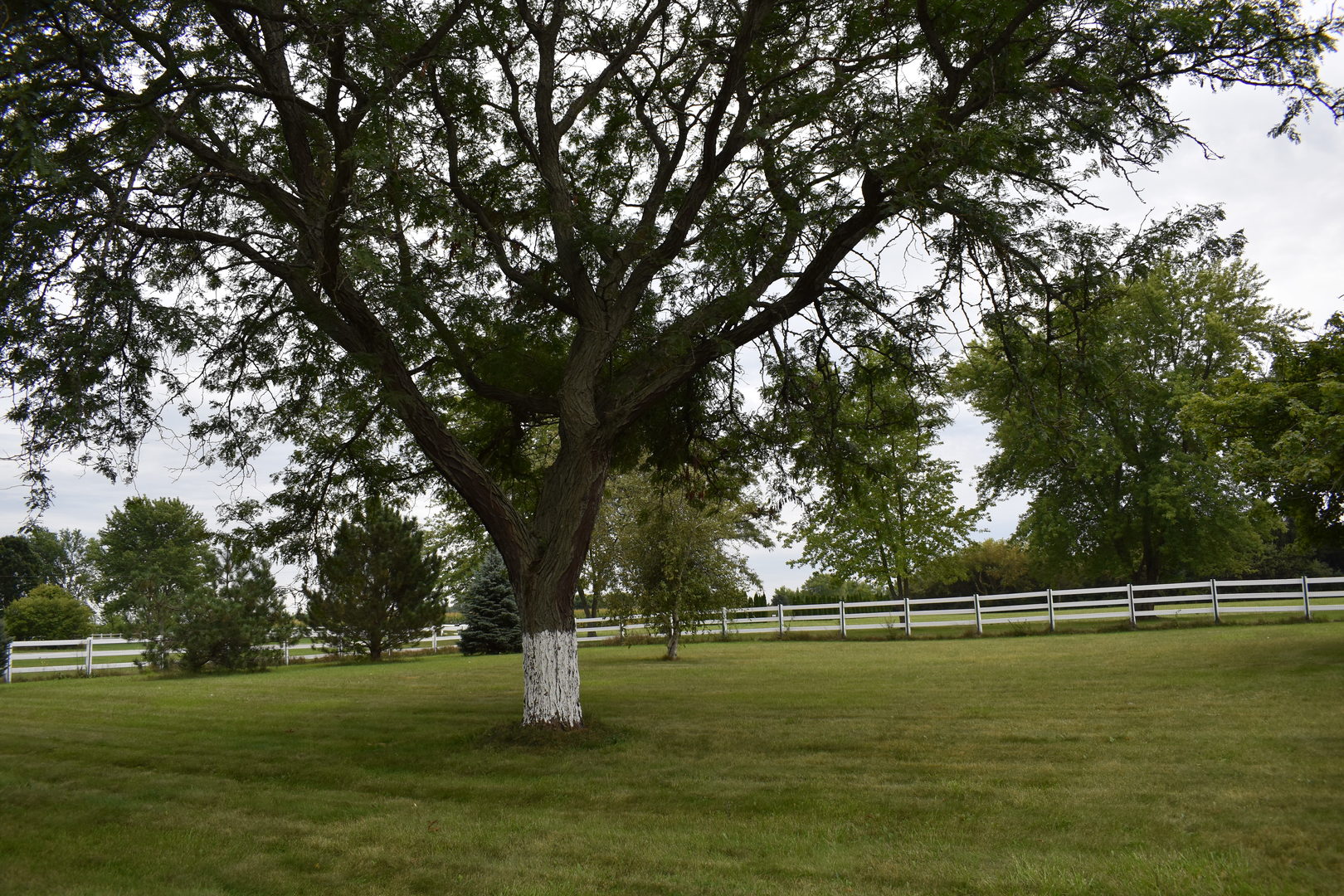 9N716 Chapman Road Hampshire, IL 60140 - Photo 4 of 34