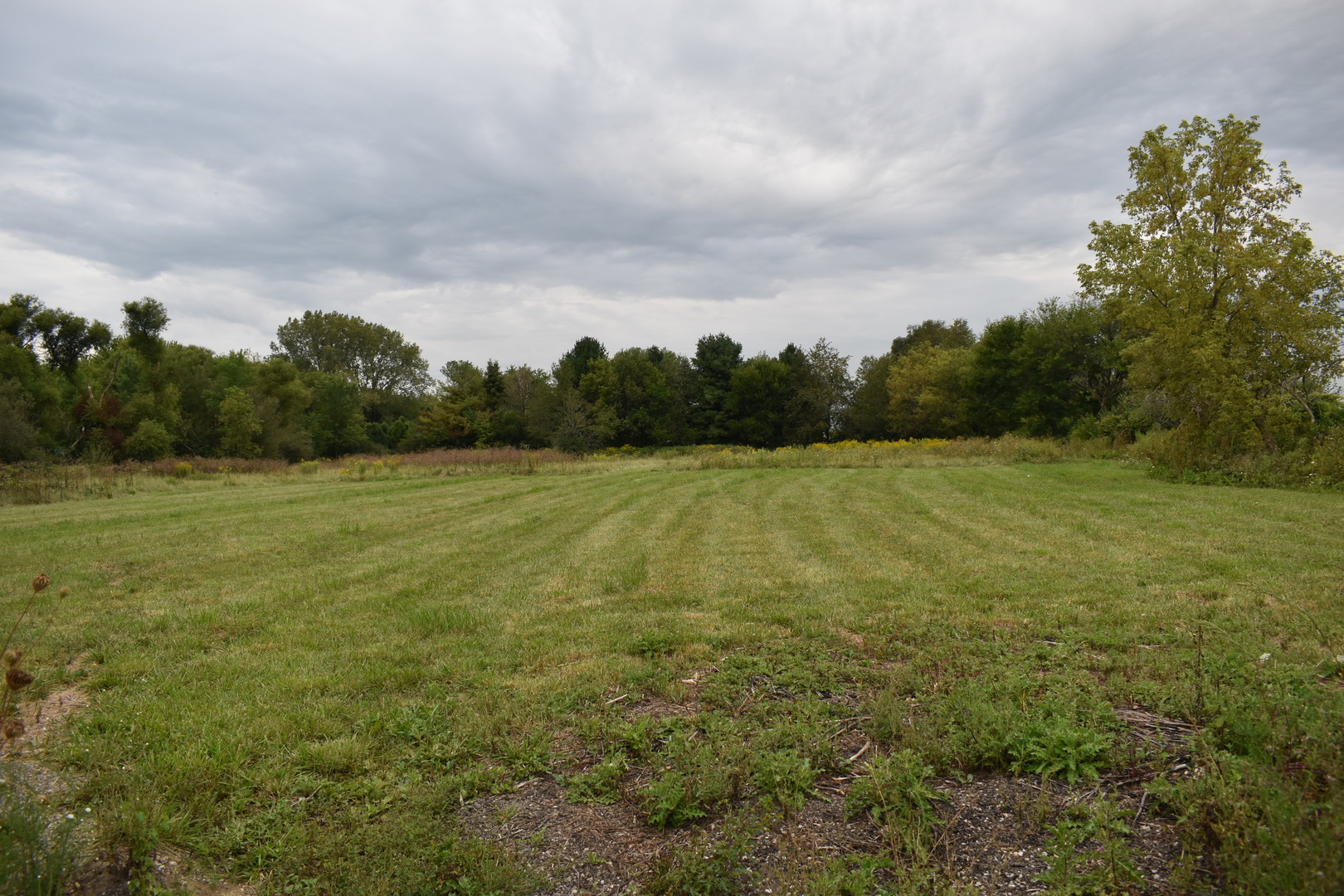 9N716 Chapman Road Hampshire, IL 60140 - Photo 7 of 34