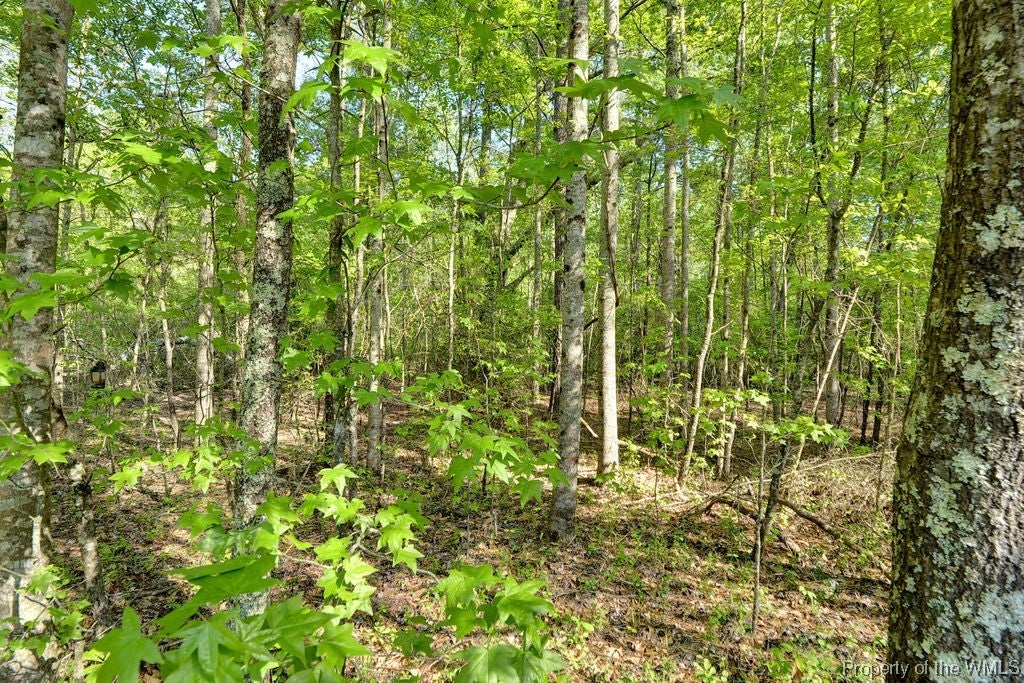 2070 Hubbard Road Lanexa, VA 23089 - Photo 33 of 35 Gallery Image 33