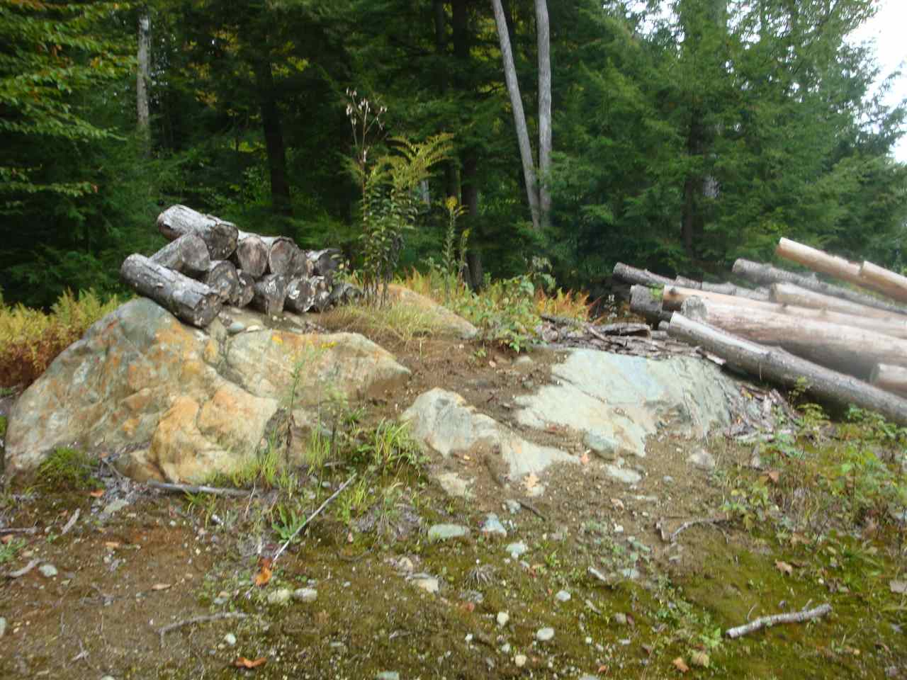 25 Porter Road Plainfield, NH 03781 - Photo 18 of 35