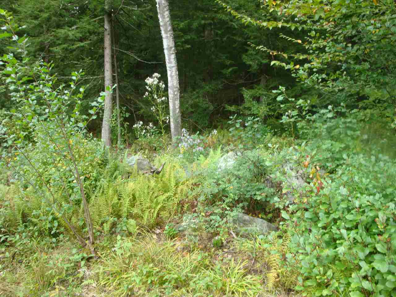 25 Porter Road Plainfield, NH 03781 - Photo 19 of 35