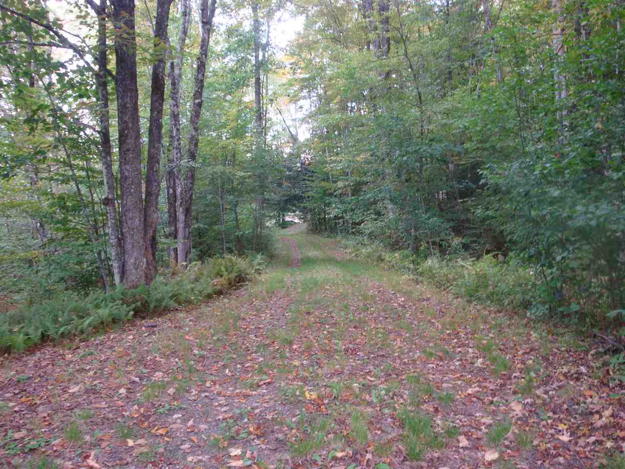 25 Porter Road Plainfield, NH 03781 - Photo 3 of 35