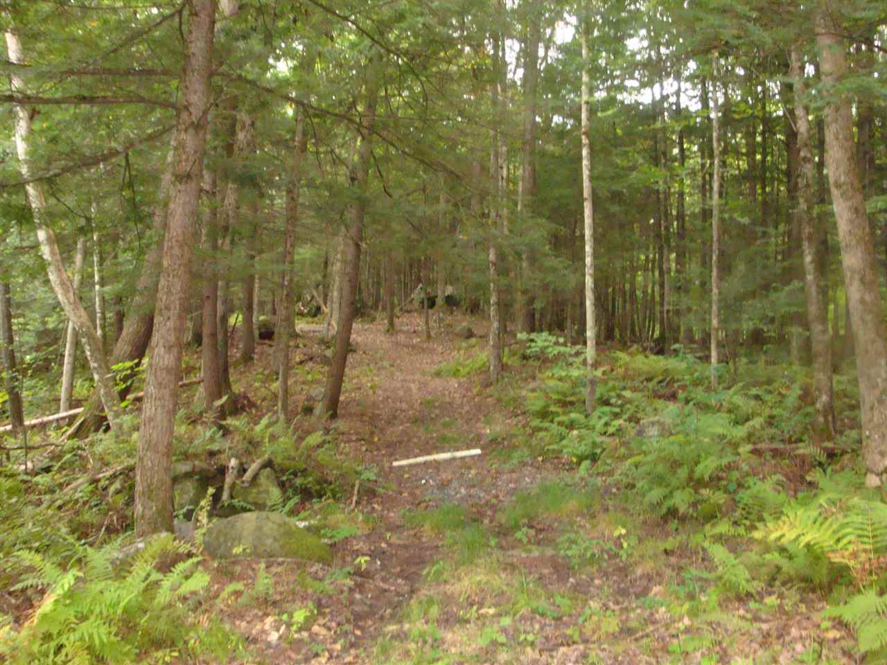 25 Porter Road Plainfield, NH 03781 - Photo 25 of 35
