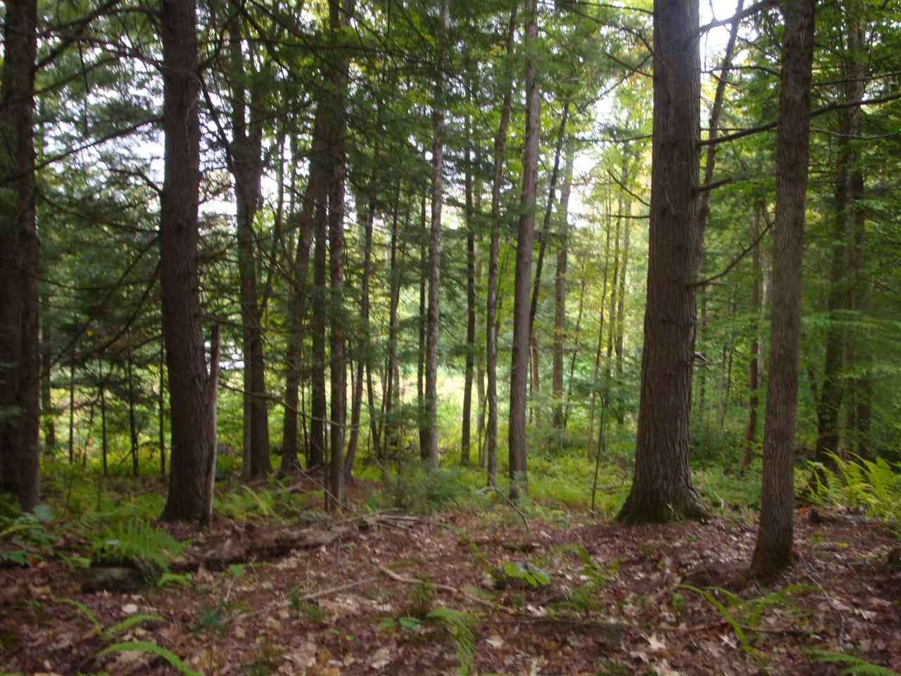 25 Porter Road Plainfield, NH 03781 - Photo 27 of 35