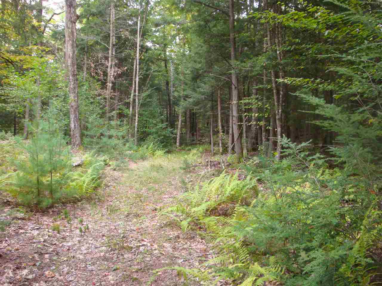25 Porter Road Plainfield, NH 03781 - Photo 28 of 35