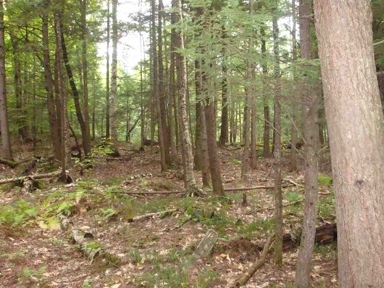 25 Porter Road Plainfield, NH 03781 - Photo 29 of 35