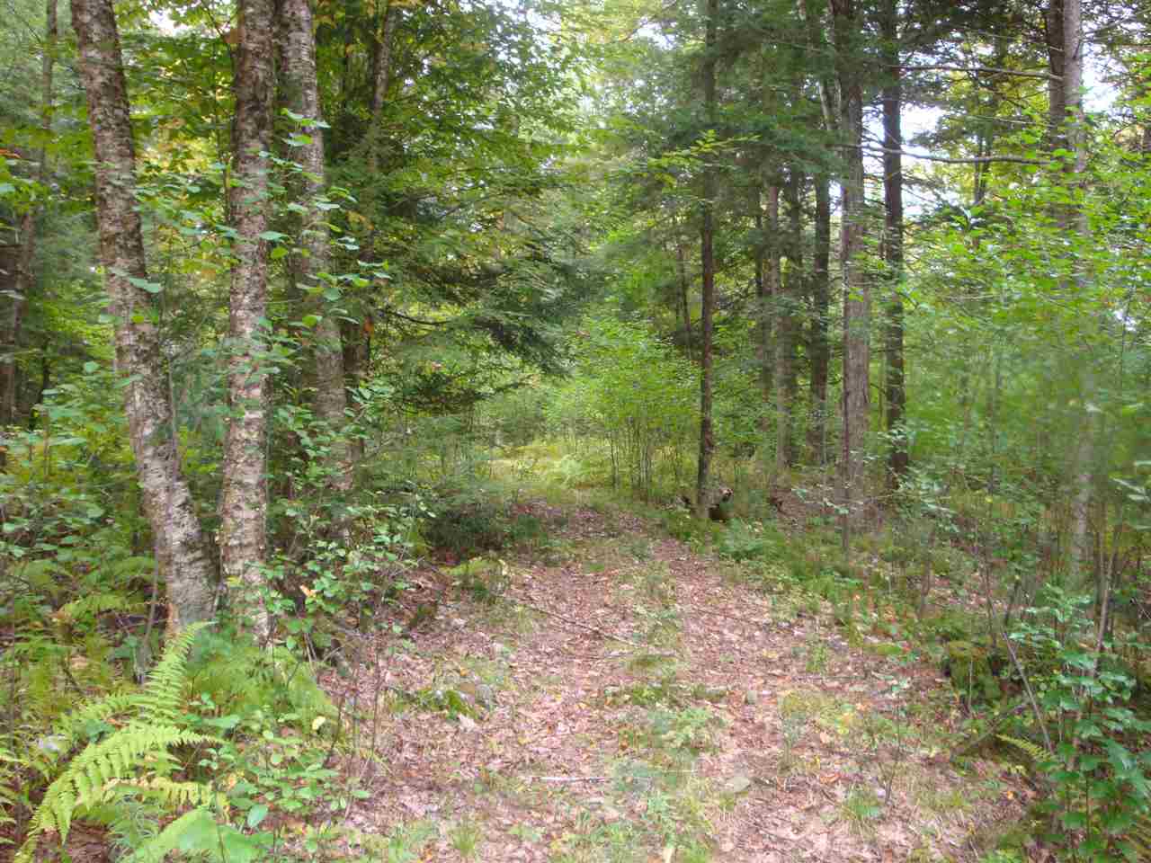 25 Porter Road Plainfield, NH 03781 - Photo 31 of 35