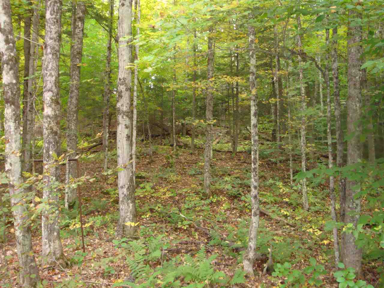 25 Porter Road Plainfield, NH 03781 - Photo 5 of 35