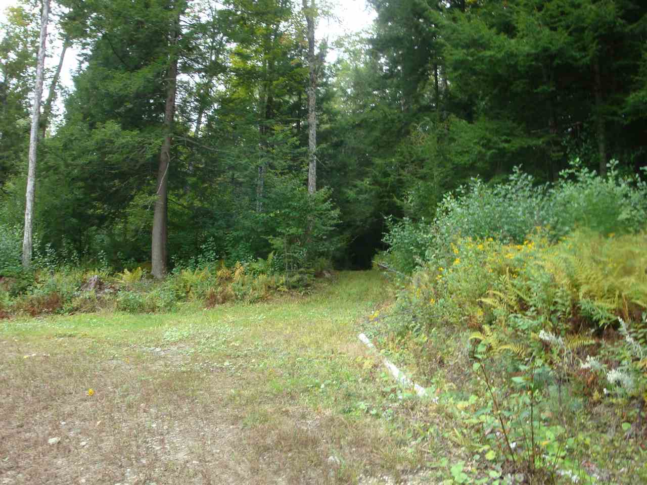 25 Porter Road Plainfield, NH 03781 - Photo 9 of 35