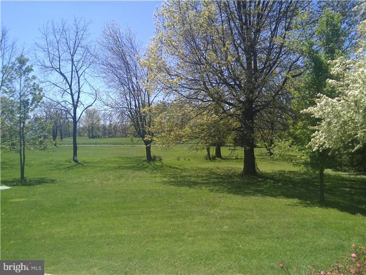 219 Fretz Road Perkasie, PA 18944 - Photo 3 of 8 Back Yard