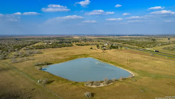 a view of a large trees with a big yard