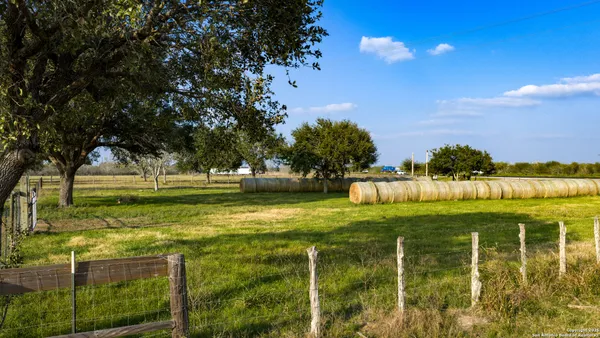 a view of a yard