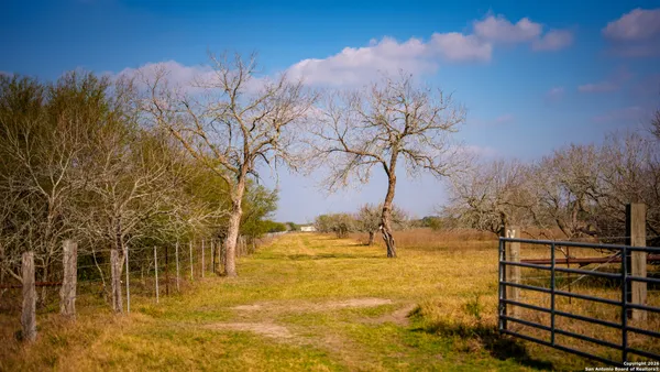a view of a yard with swimming pool