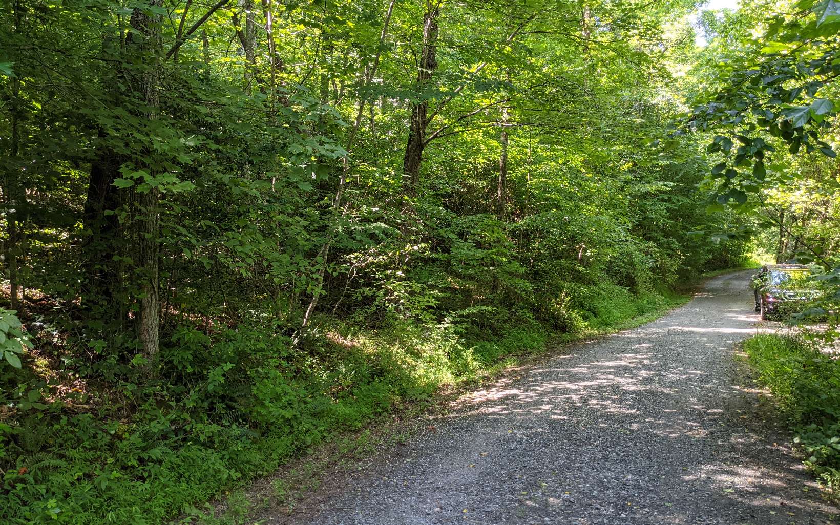 2 Caldwell Road Brasstown, NC 28902 - Photo 4 of 4 Additional View