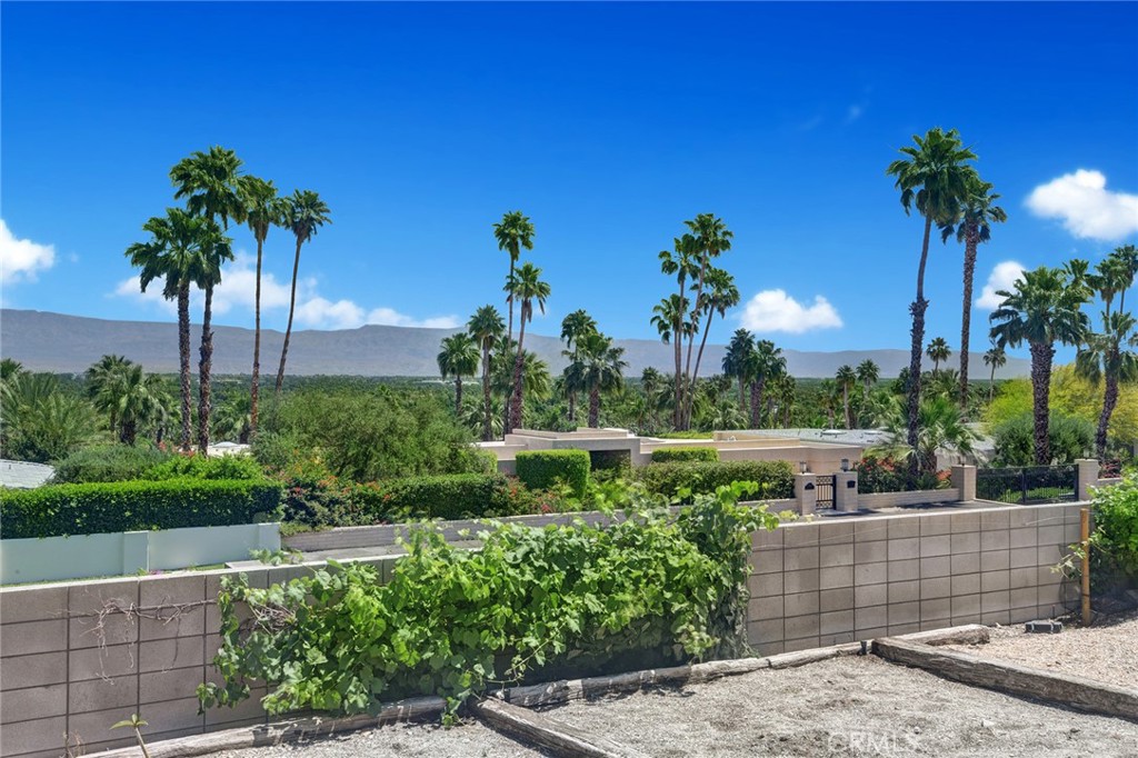 40600 Tonopah Road Rancho Mirage, CA 92270 - Photo 17 of 28 a view of a garden