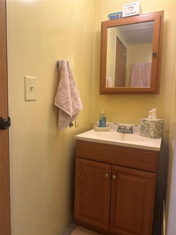 142 Lonely Pine Road Waco, TX 76708 - Photo 18 of 31 a bathroom with a sink vanity and mirror