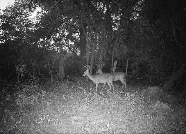 1.9-ac Barnes Road Gordon, AL 36343 - Photo 26 of 28