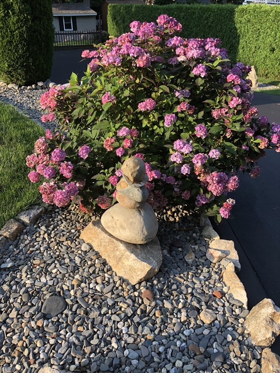 780 Dickinson Street Fall River, MA 02721 - Photo 38 of 42 a view of a flower in a front of a house