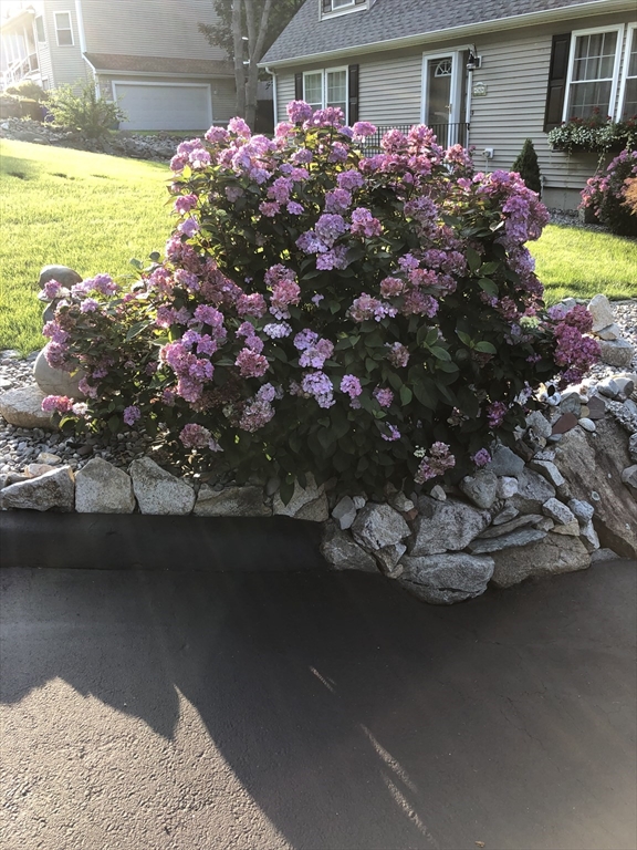 780 Dickinson Street Fall River, MA 02721 - Photo 39 of 42 a front view of a house with a yard and fountain