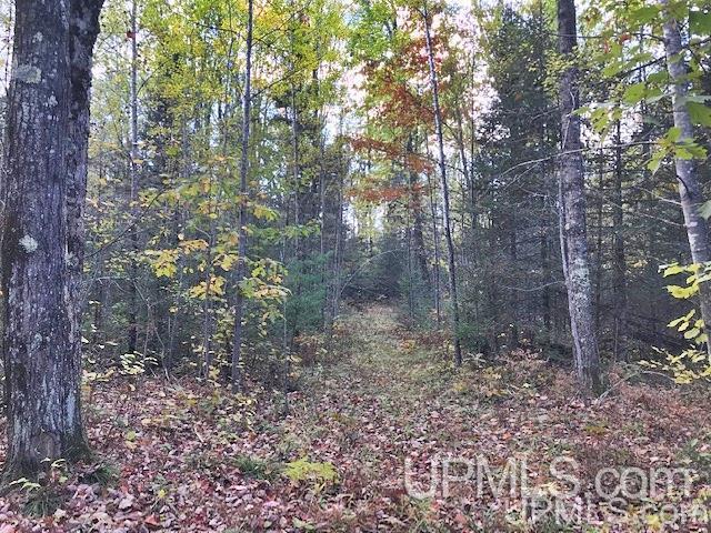 T-wi Weckerle Road Pembine, WI 54156 - Photo 29 of 36