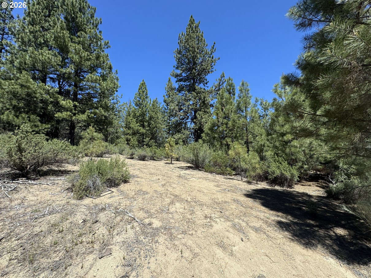 Friendship Drive, Unit 15 Chiloquin, OR 97624 - Photo 8 of 41