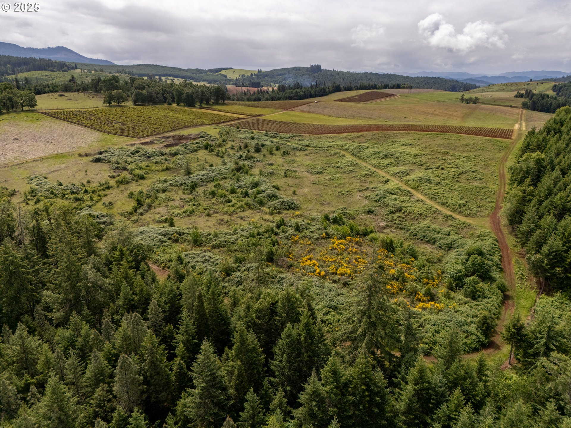 1066 Red Hill Road Oakland, OR 97462 - Photo 31 of 48