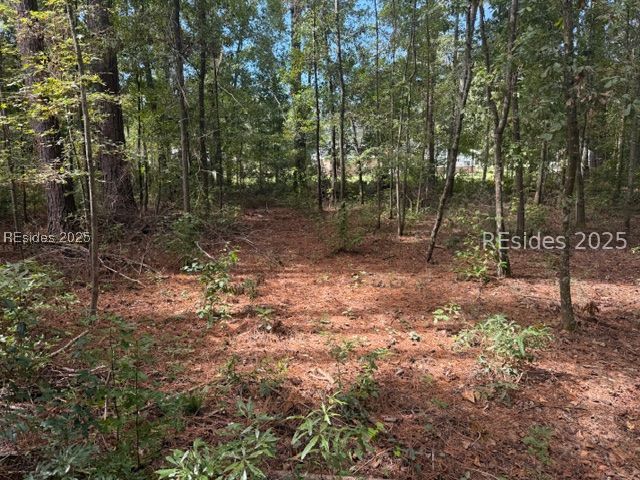 169 Red Breast Lane Ridgeland, SC 29936 - Photo 1 of 1 Gallery Image 1