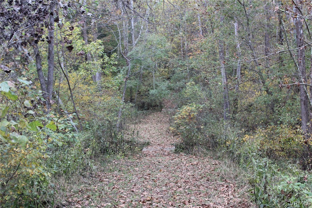 Xx Liberty Chapel Road Appomattox, VA 24522 - Photo 5 of 13 Gallery Image 5