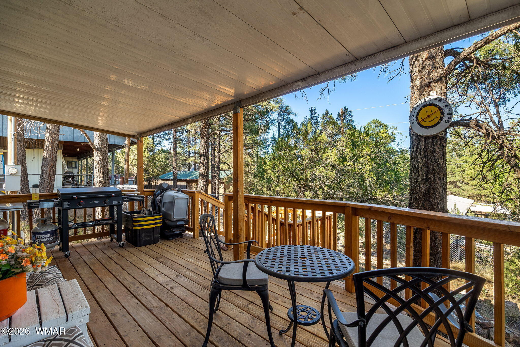 3491 Deer Track Trail Overgaard, AZ 85933 - Photo 18 of 31