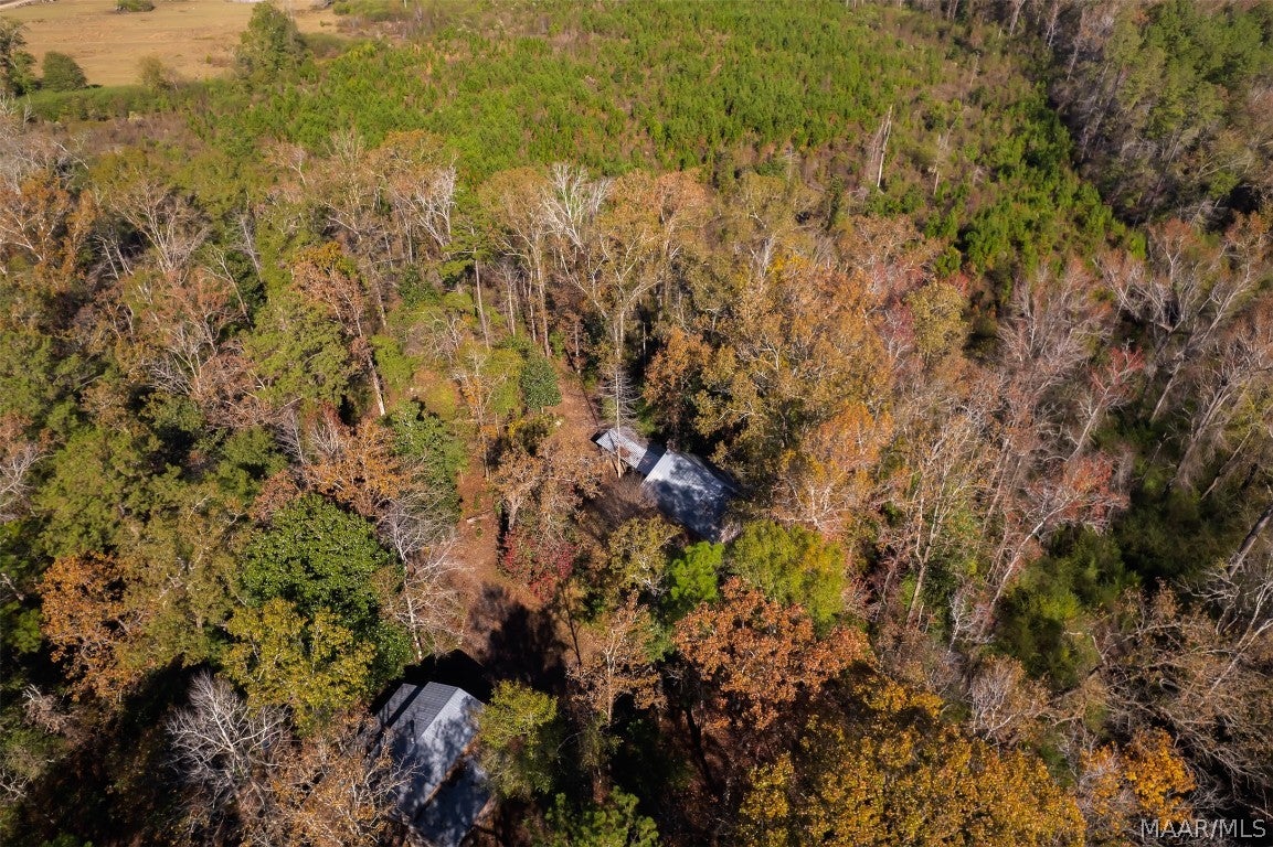 3134 Benton Store Road Columbia, AL 36319 - Photo 59 of 62 Gallery Image 59