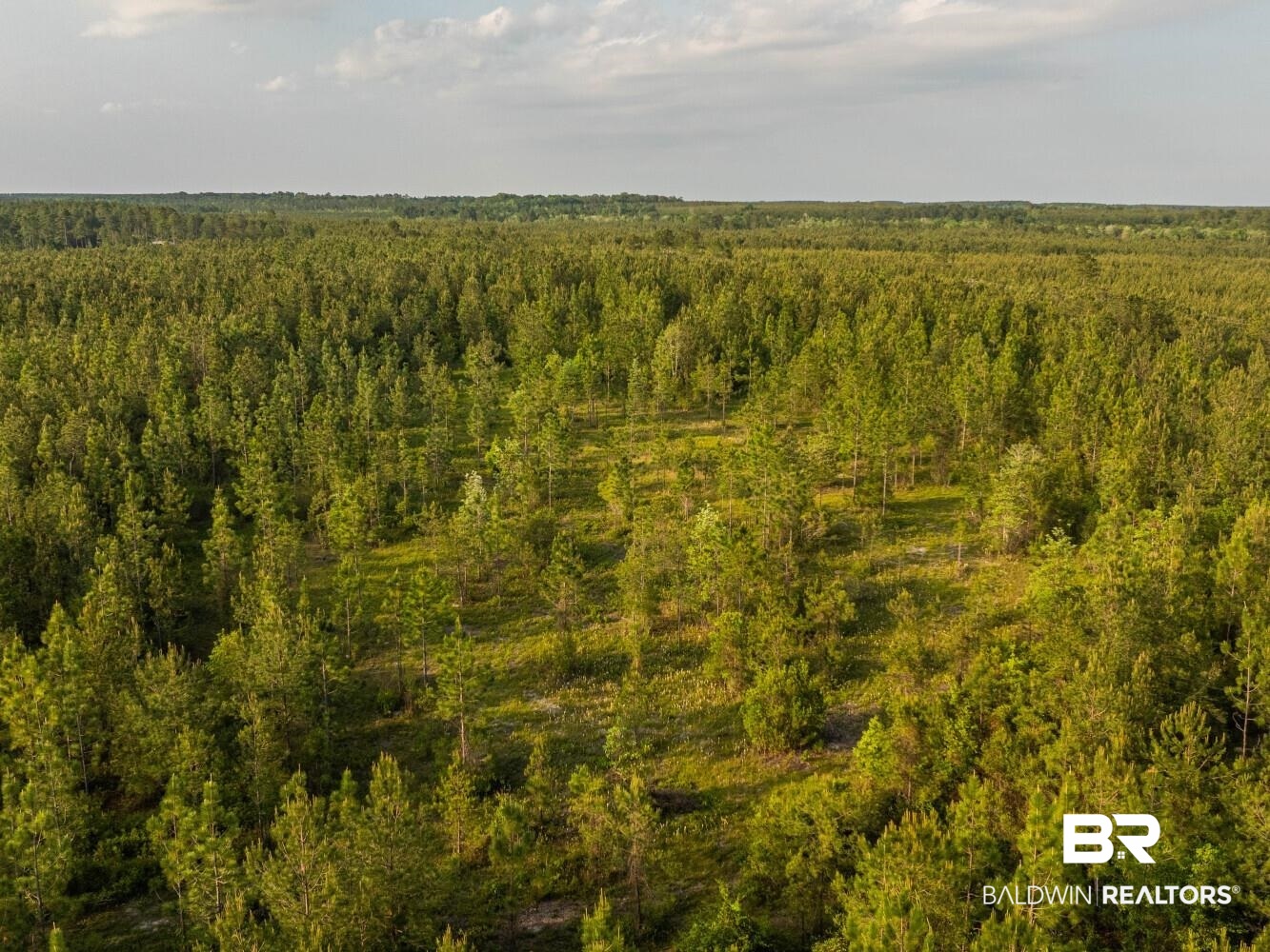0 Lonnie Hadley Road Perdido, AL 36562 - Photo 2 of 39