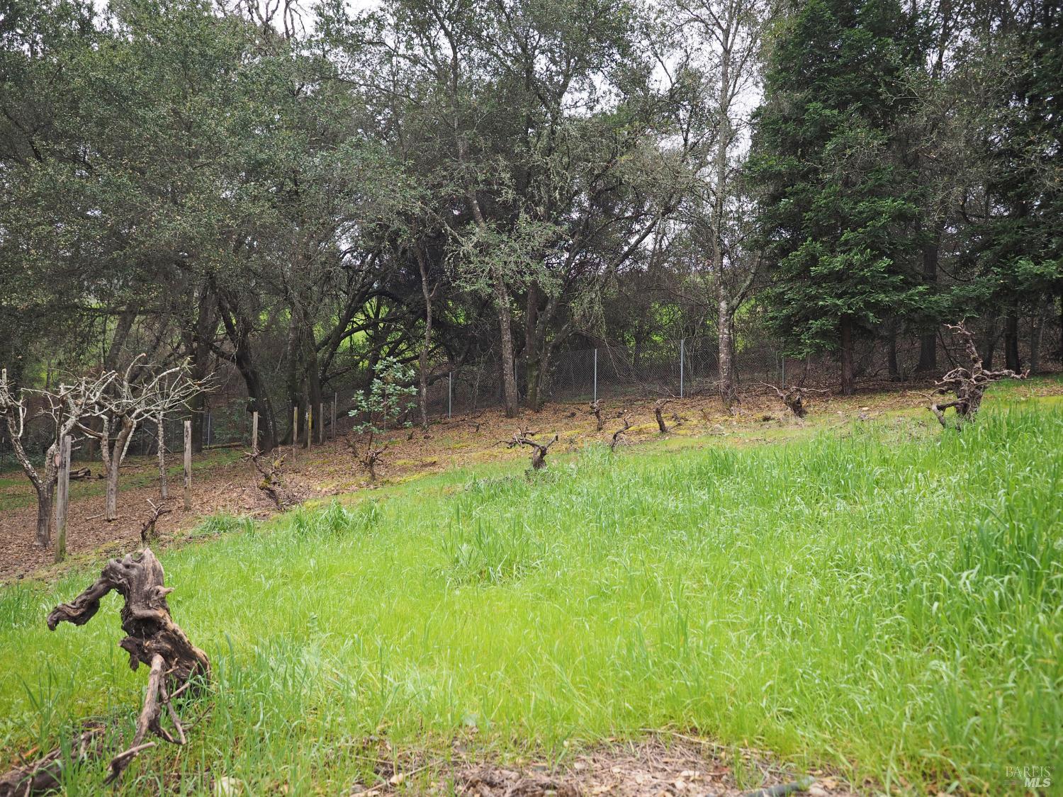 21679 Geyserville Avenue Geyserville, CA 95441 - Photo 42 of 60