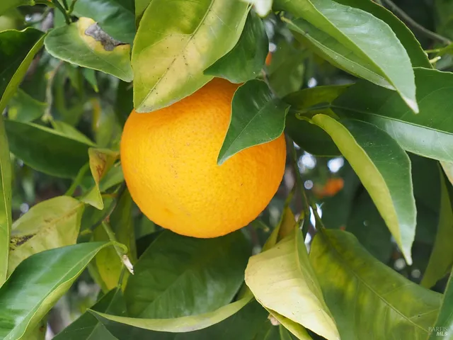 $1,150,000 | 21679 Geyserville Avenue, Geyserville, CA 95441