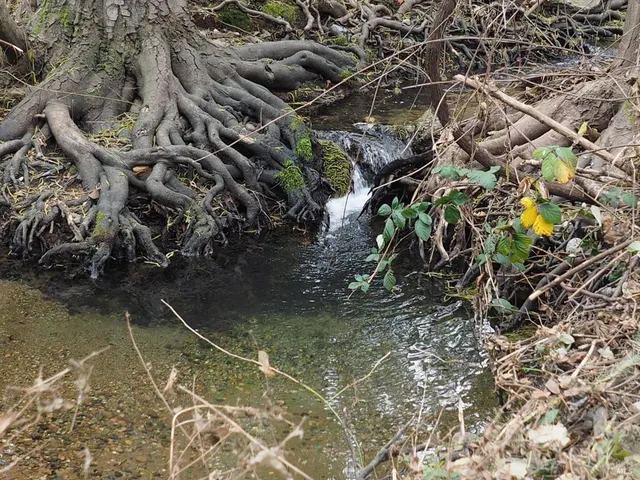 $1,150,000 | 21679 Geyserville Avenue, Geyserville, CA 95441