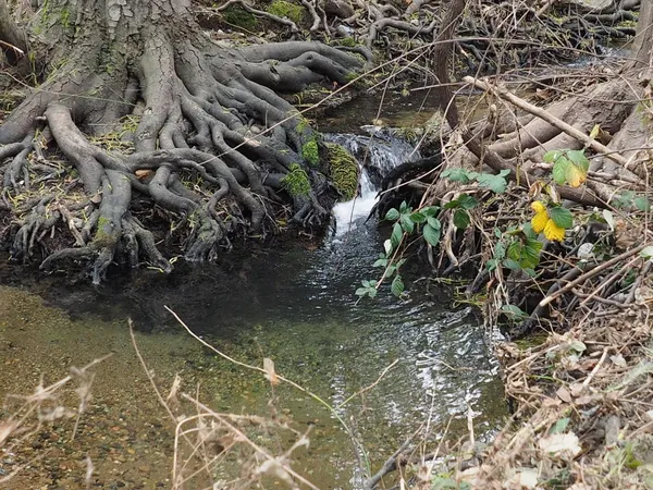 $995,000 | 21679 Geyserville Avenue, Geyserville, CA 95441