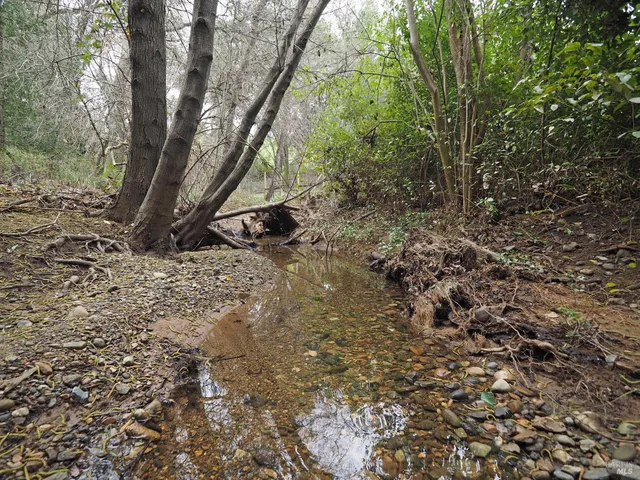 $1,150,000 | 21679 Geyserville Avenue, Geyserville, CA 95441